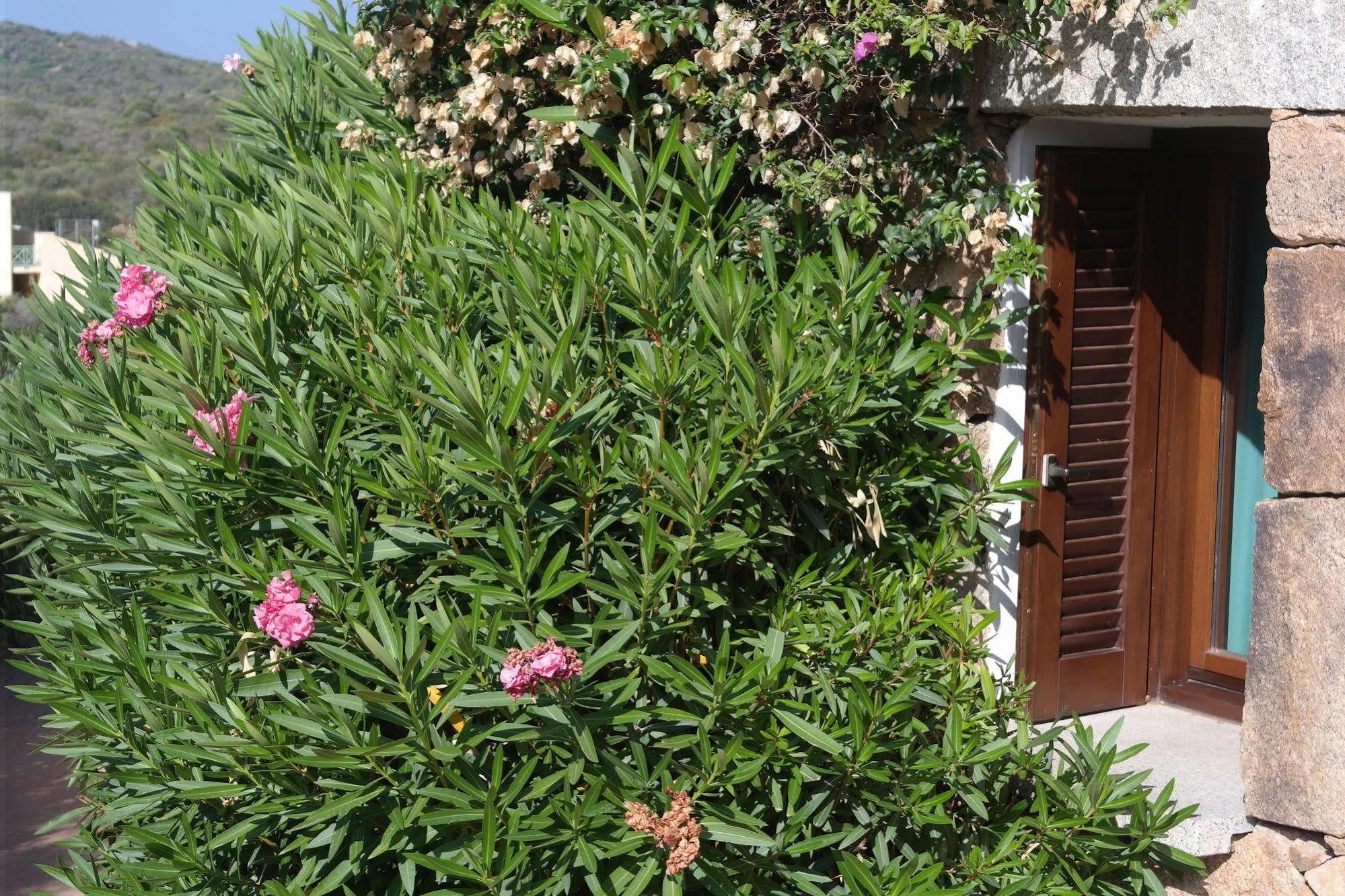 גולפו אראנצ'י Sardinia Blu Residence מראה חיצוני תמונה